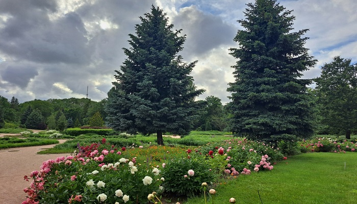 Ботанический сад им. Н.В. Багрова в Симферополе